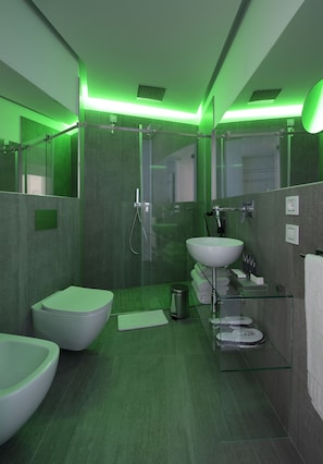 Free toiletries, hair dryer, slippers, bidet