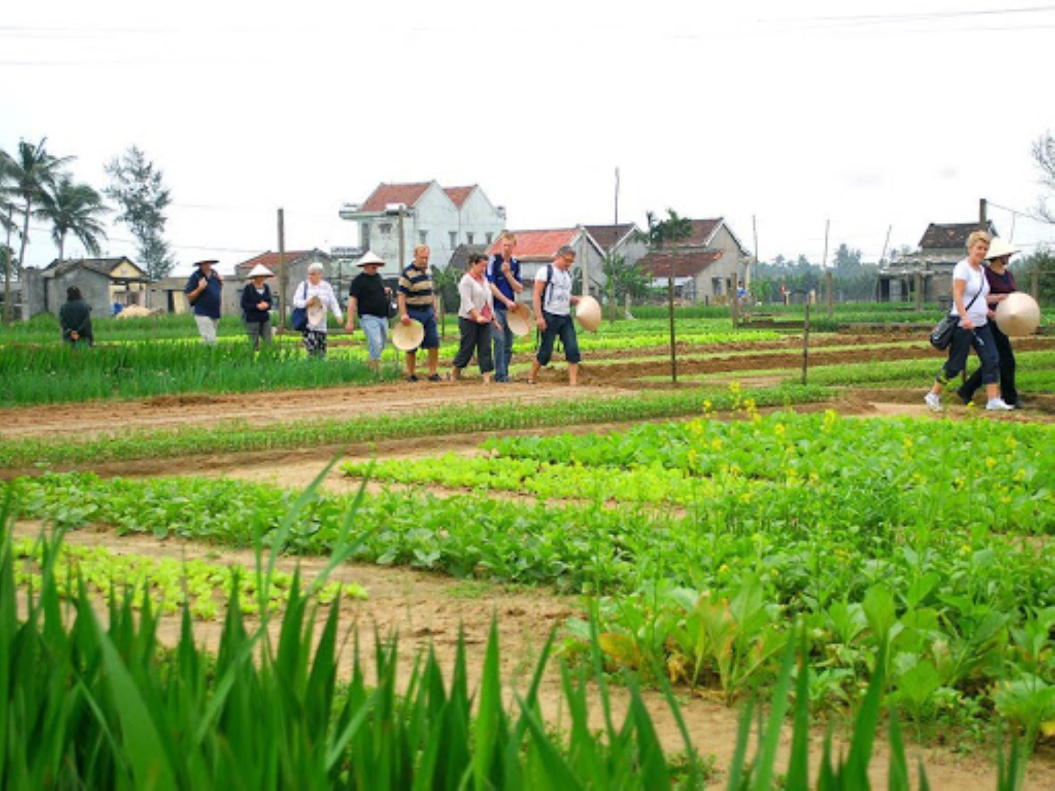 Foto - Truc Loc Villa