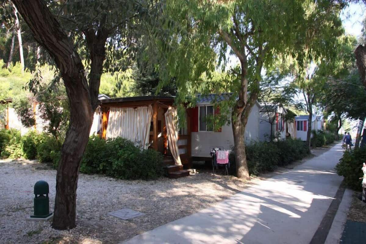 A row of mobile homes with a gravel path and trees.