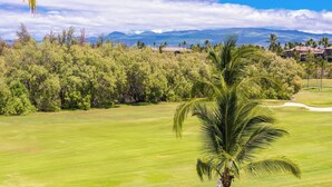 A golf course with a palm tree in the foreground, surrounded by dense greenery and mountains in the background.