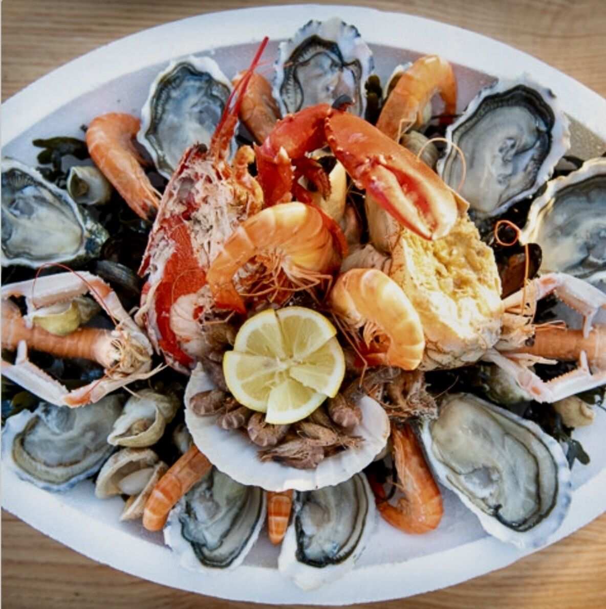 A seafood platter with oysters, shrimp, and lobster on a white plate.