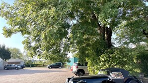 Un coche antiguo estacionado en un aparcamiento de grava con árboles al fondo.