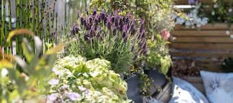 Le Vivier Côté Résidence