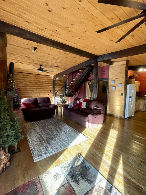 TV, fireplace, DVD player