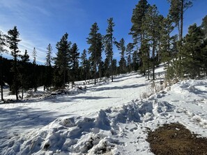 Snow and ski sports - Spacious cabin off Hwy 85 with beautiful views and plenty of trailer parking. (Lead)