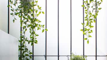 Two hanging planters with green plants against a white wall.