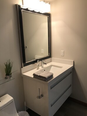 Ensemble douche/baignoire, sèche-cheveux, serviettes fournies