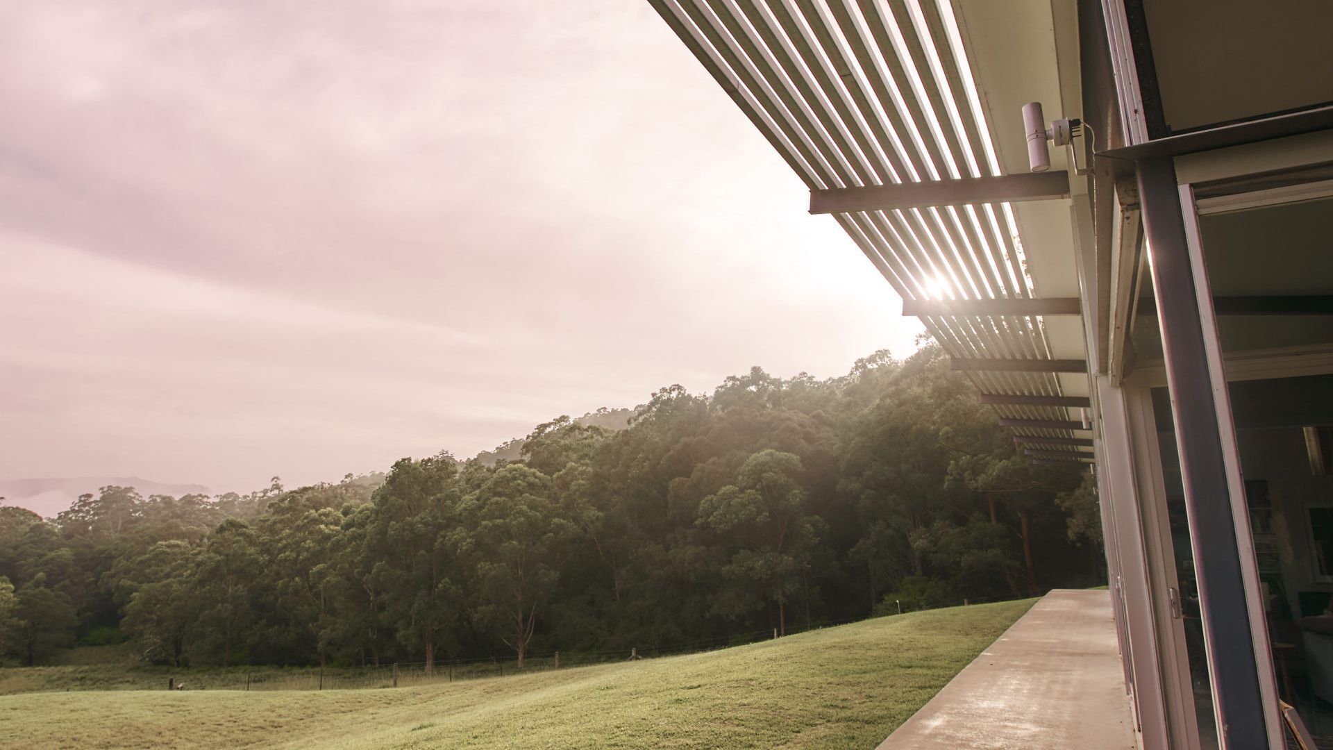 A modern building with a flat roof and large windows, surrounded by a grassy area and dense trees.