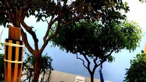 Un jardin avec des fleurs blanches, deux chaises blanches et une chaise bleue sous un arbre.