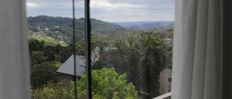 Vista desde la habitación