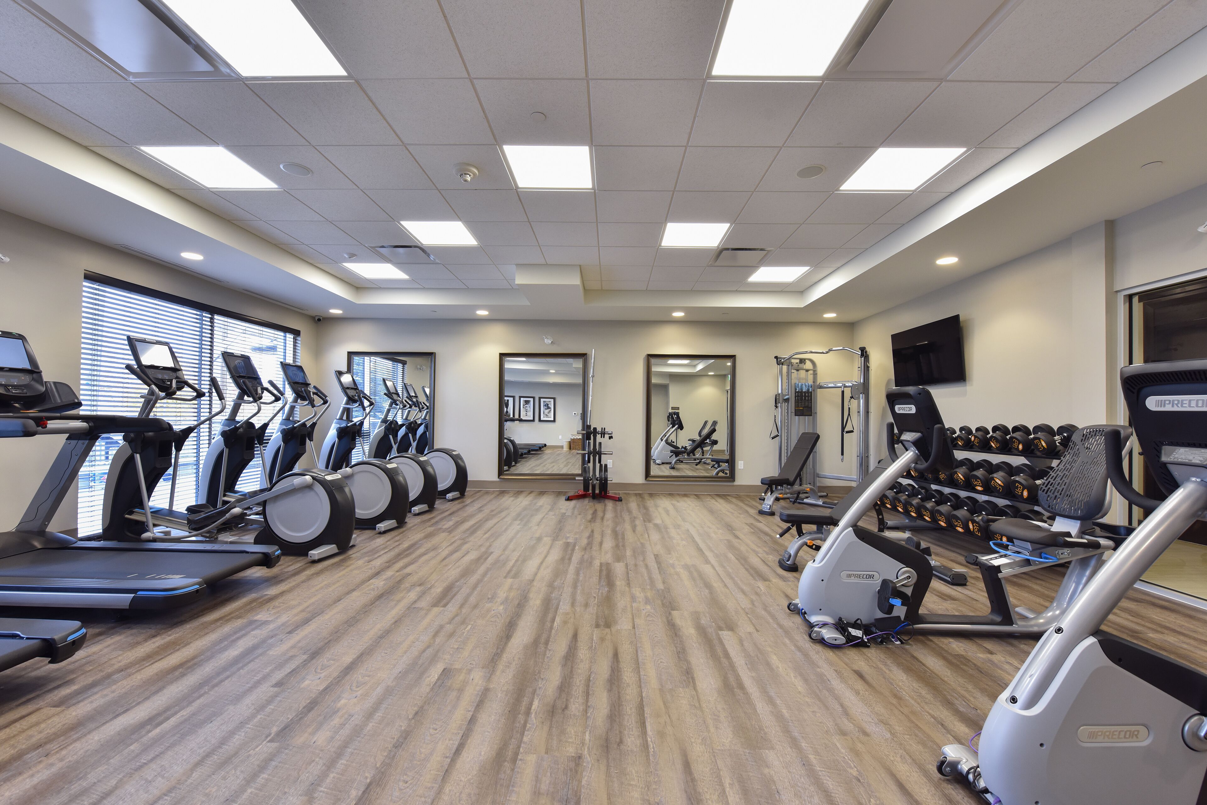 A gym with treadmills, elliptical machines, and weight machines.