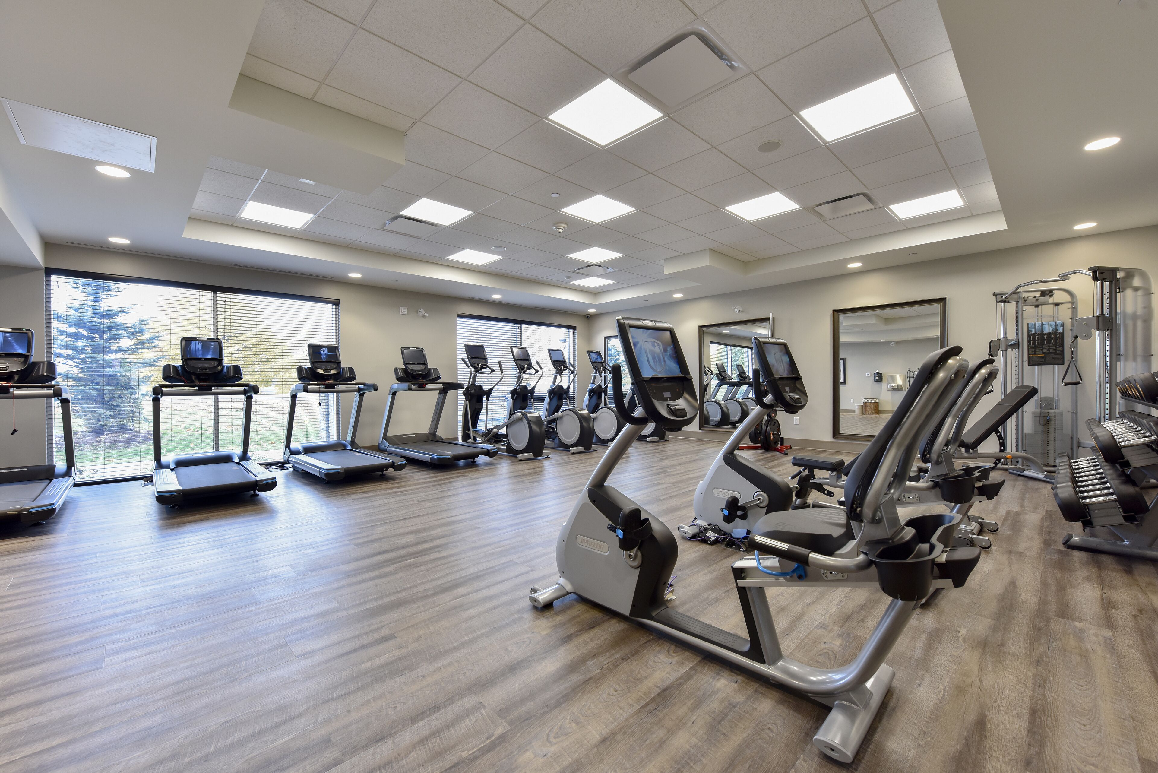 A gym with treadmills, elliptical machines, and weight equipment.