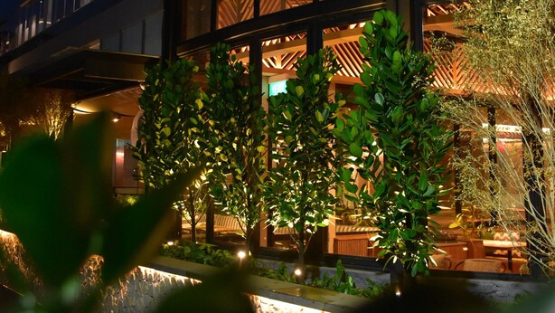 Taman