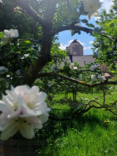 Ferienwohnung  Brehmer-Knauer - Ferienwohnung Brehmer-Knauer