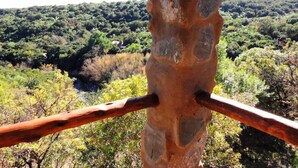 A close-up of a tree trunk with a metal railing in the foreground, set against a backdrop of a dense forest and distant mountains.
