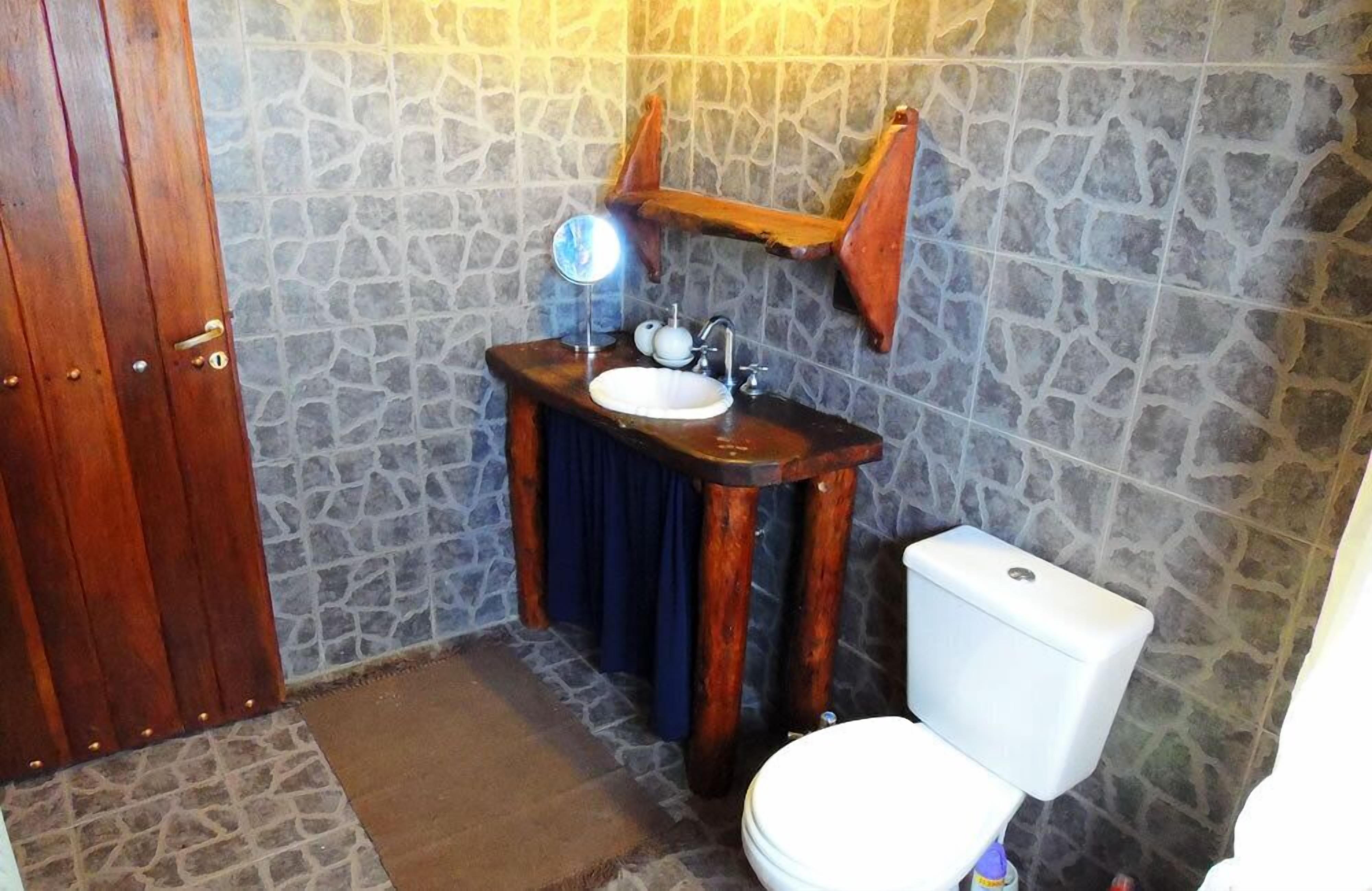 Une salle de bain avec un mur en pierre, une porte en bois, un lavabo blanc et des toilettes.