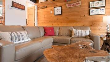 Télévision, cheminée, lecteur de DVD, espaces bureaux