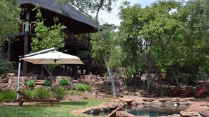 A thatched-roof building with a pool and lounge chairs in a landscaped garden. - Sekala Private Game Lodge (Vaalwater)