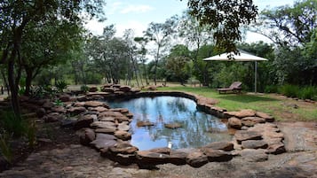 Una piscina al aire libre, sombrillas, sillones reclinables de piscina