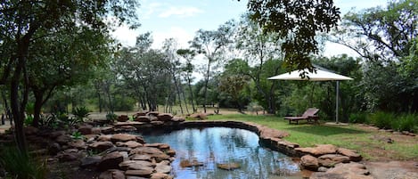 Una piscina al aire libre, sombrillas, sillones reclinables de piscina