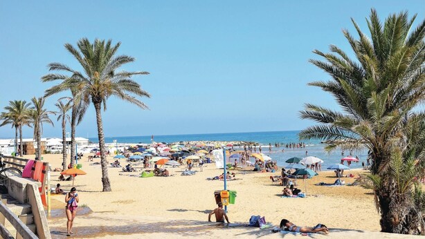 Een strand met palmbomen, parasols en mensen die zonnen.