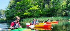 Un grupo de personas remando en kayak por un río rodeado de abundante vegetación.