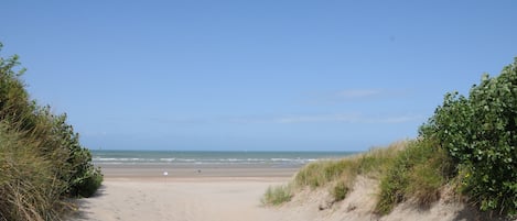 Strand