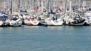 A marina with numerous boats docked.
