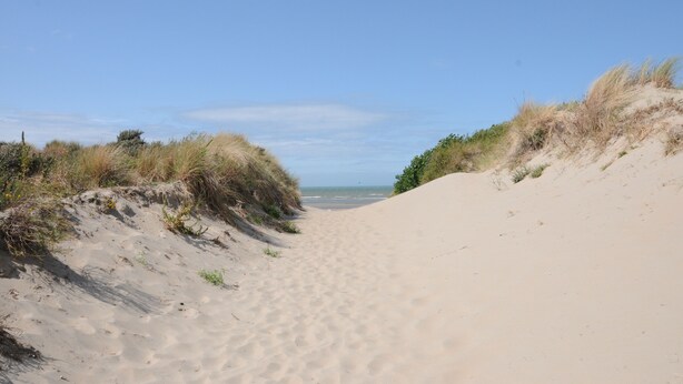 A sandy beach path leading to the ocean, surrounded by dunes and sparse vegetation.