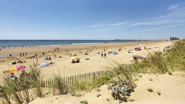 Une plage avec des gens, des parasols et une clôture.