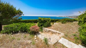 A coastal landscape with a clear view of the sea, dense greenery, and a stone pathway. - Wonderful seaview w/ direct sea access & jacuzzi (Leuca)
