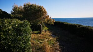 A coastal path with dense greenery and a view of the sea. - Direct sea access and stunning location (Leuca)