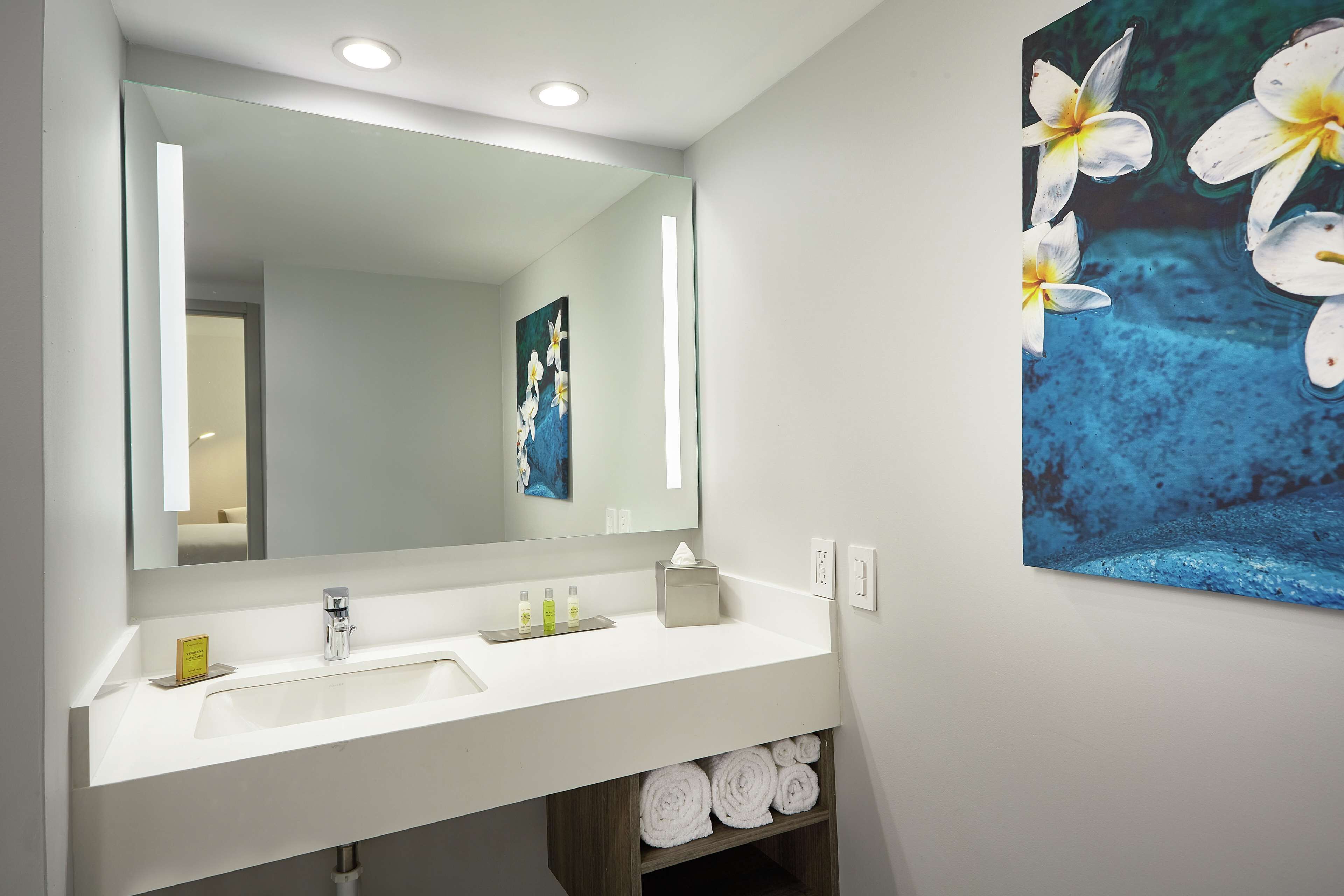 Une salle de bain moderne avec un lavabo blanc, un miroir et un tableau représentant des fleurs.