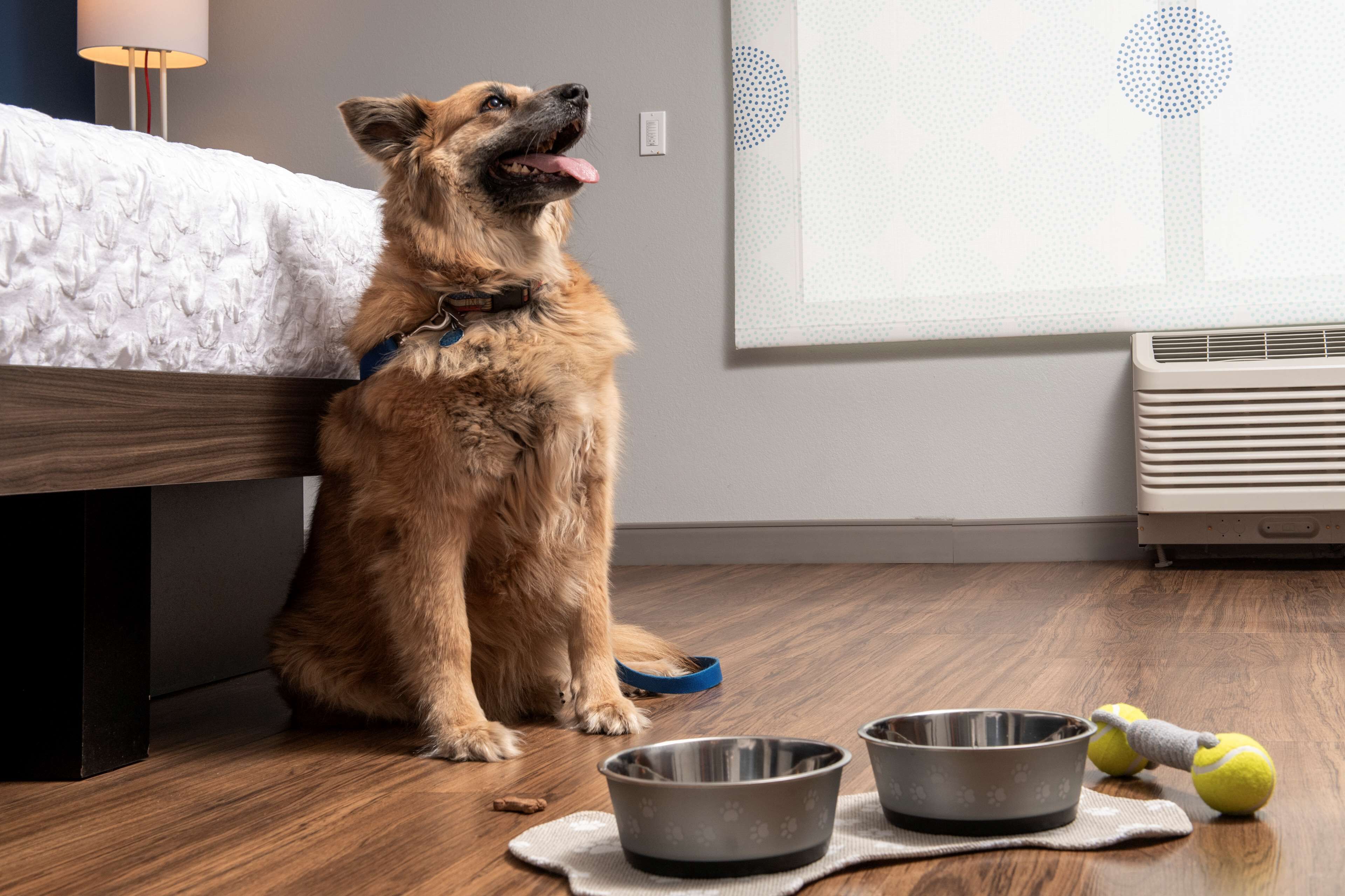 desk, blackout curtains, iron/ironing board, free cots/infant beds