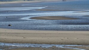 A coastal landscape with a sandy beach and tidal pools.
