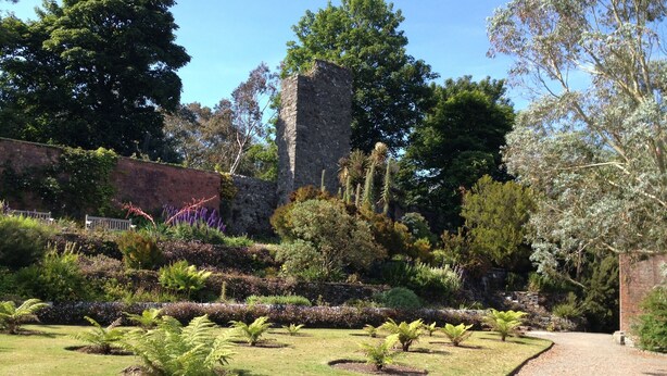 A garden with a gravel path, various shrubs, and a stone structure.