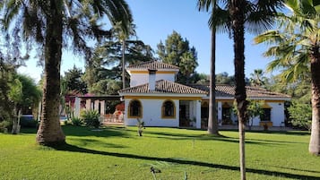 Extérieur
