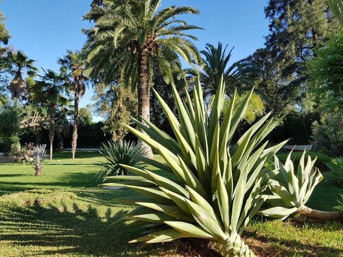 Ideal villa for family rest, visit Seville and Andalusia.