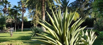 Ideal villa for family rest, visit Seville and Andalusia.