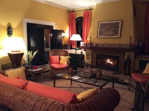 TV, fireplace, books, music library
