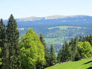 Nicht klassifiziertes Bild, 4 von 30, Schaltfläche