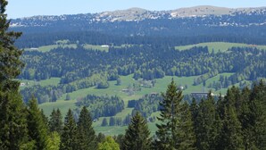 Paisagem montanhosa com florestas densas e edifícios dispersos.