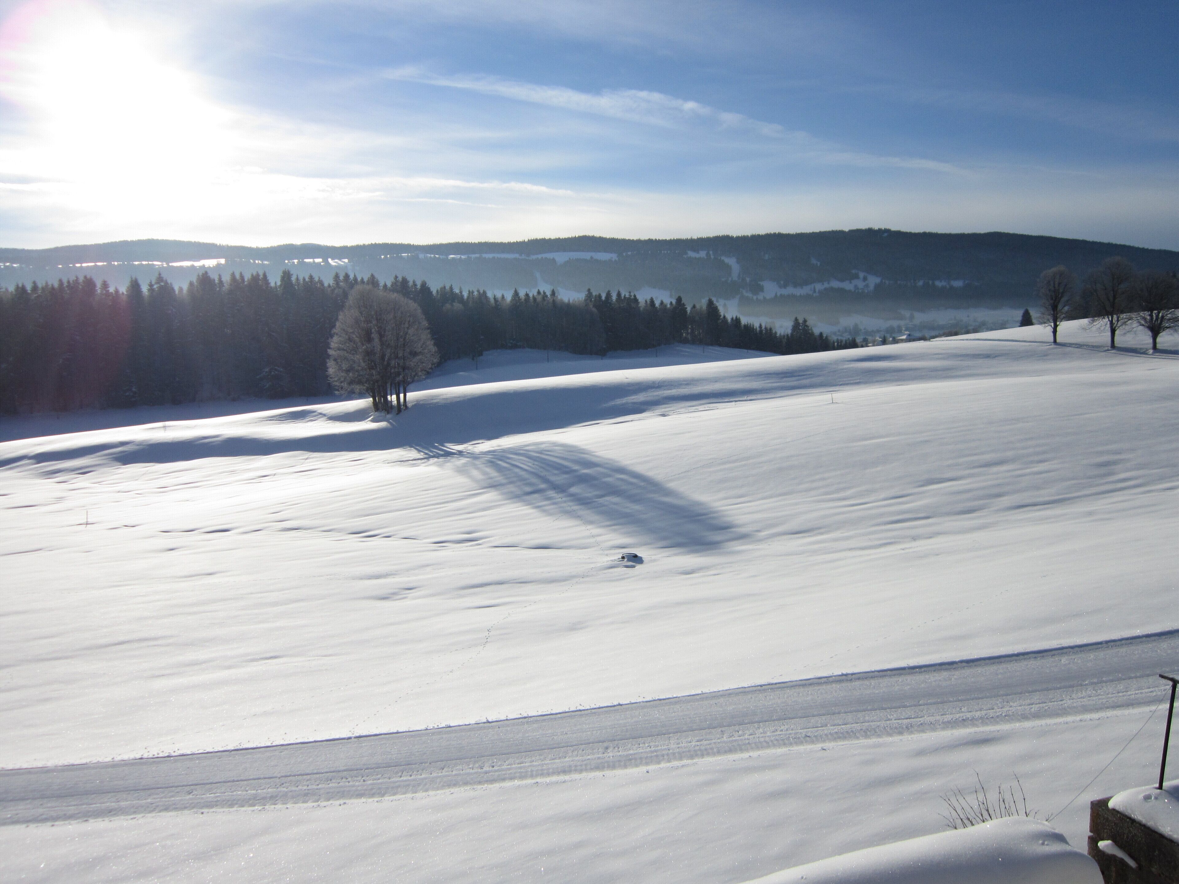 A snow-covered landscape with a clear sky, a few trees, and distant hills.