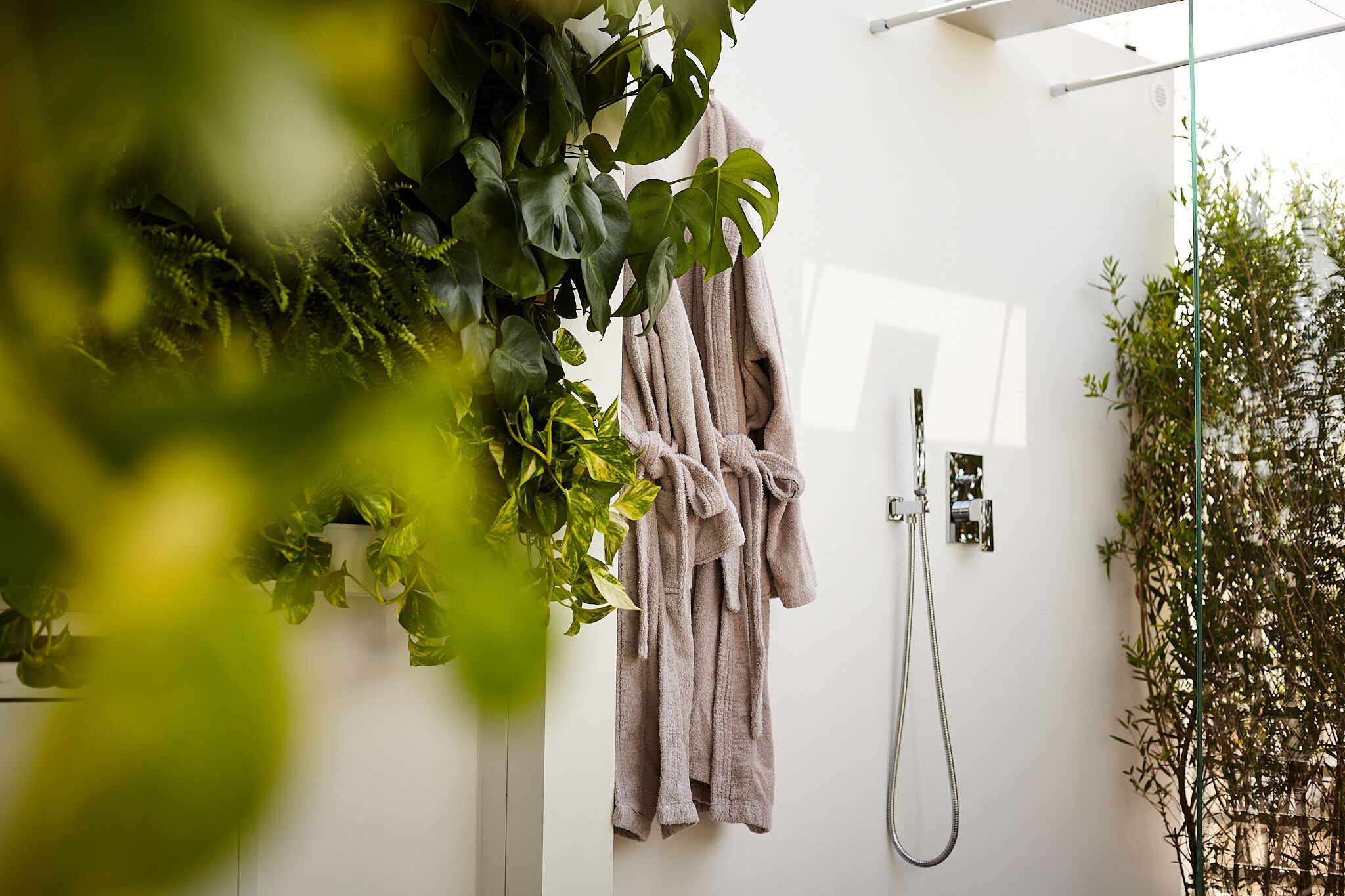 Et badeværelse med bruser, et håndklædestativ med badekåbe og grønne planter.