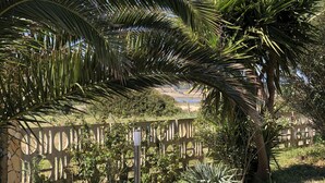 A garden with palm trees, a stone wall, and a wooden fence. - Stunning House Between the Countryside and the Sea - Southern Sardinia CIN: IT111070C2000U0960 (Porto Pino (Sardegna))