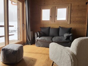 TV, fireplace, DVD player, books