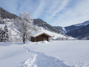 Exterior - Alpine chalet renovated in 2018. Arêches-Beaufort 8-10 beds ideal for 2 families (Arêches-Beaufort)