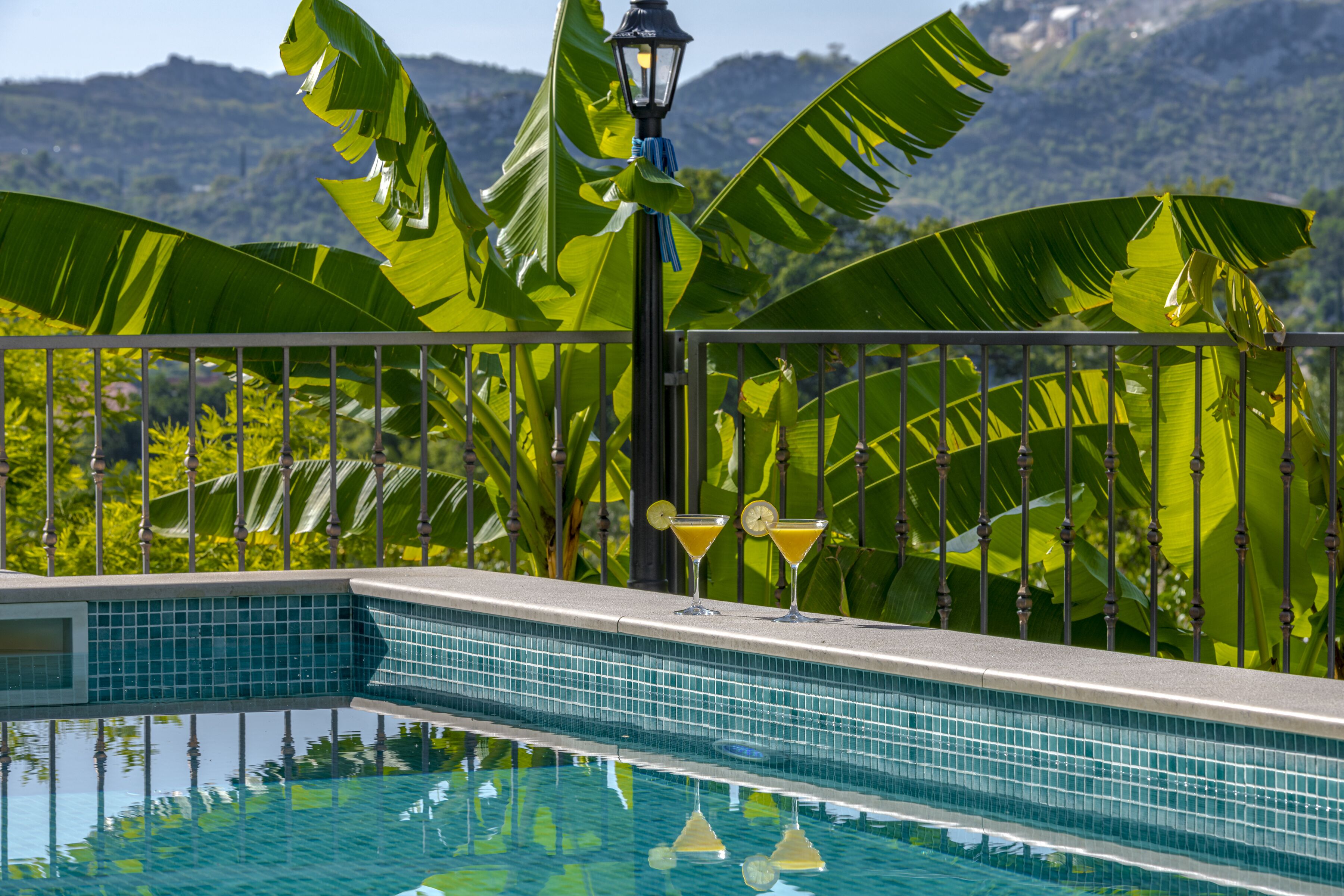A pool with a tiled edge, surrounded by lush banana leaves and a metal railing.