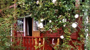 Ein rotes Holzhaus mit Fenster und Tür, umgeben von Grünpflanzen und Blumen.