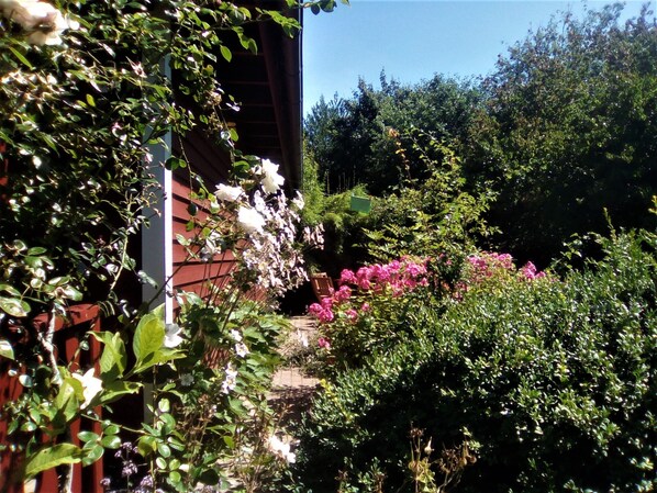Stroll through the lush garden, featuring a variety of vibrant flowers and a winding pathway leading to the building.